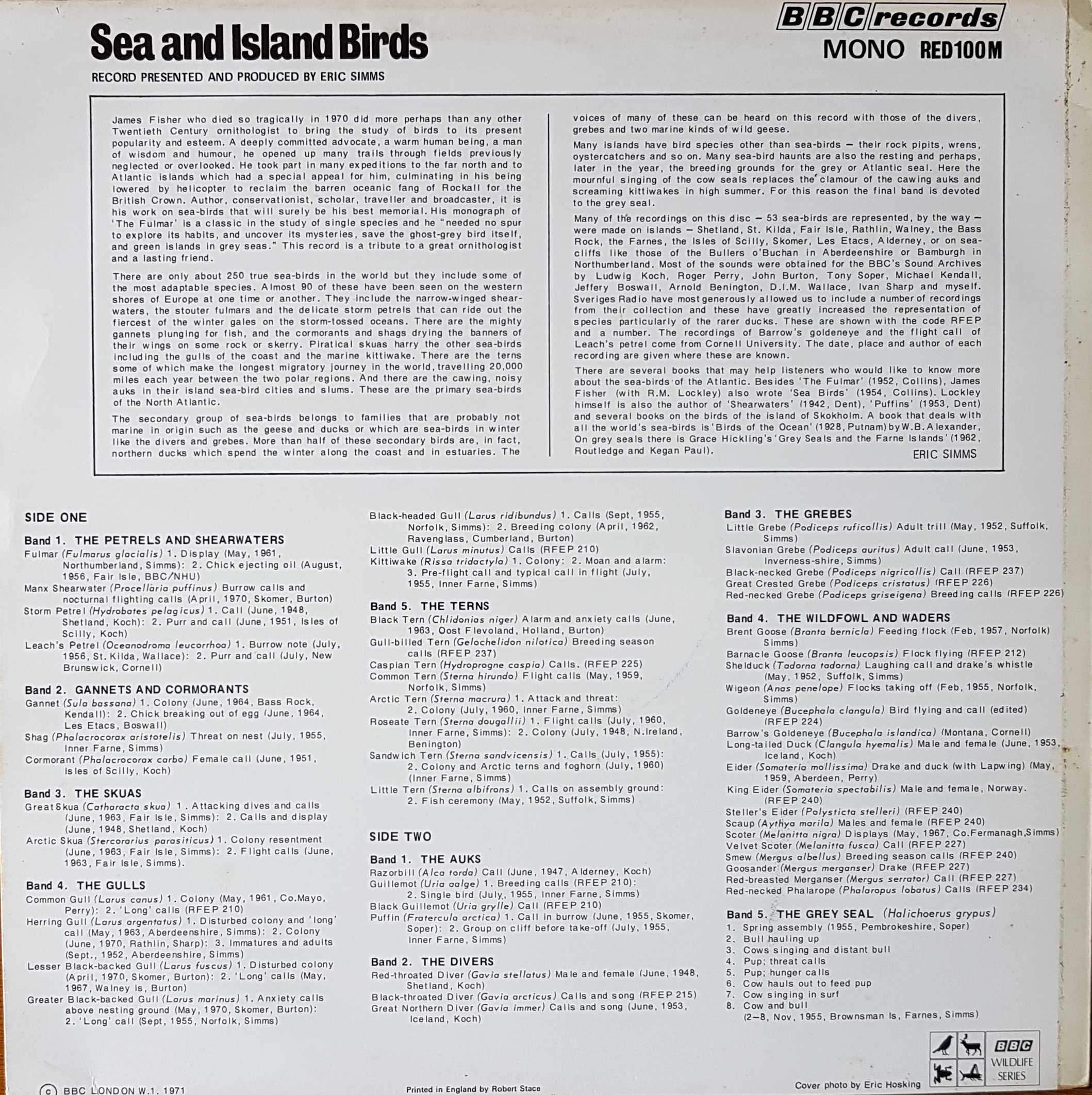 Picture of RED 100 Sea and island birds by artist Various from the BBC records and Tapes library